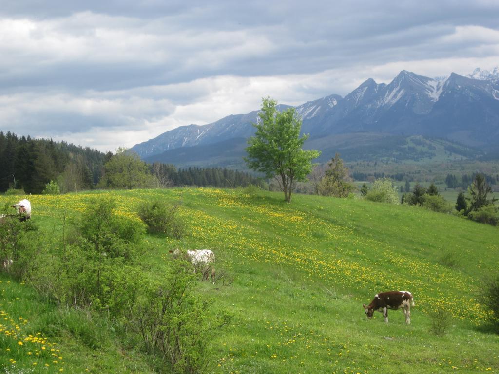 Apartamenty I Pokoje Rodzinne Czarna Gora Luaran gambar